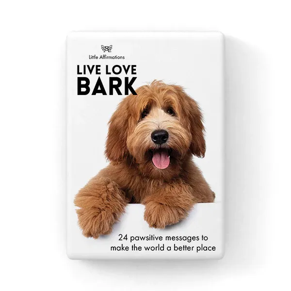 Affirmations 24 Live Love Bark Cards   stand