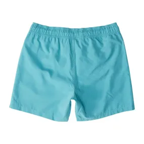 All Day Layback Boardshort