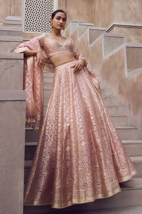 Aniq Lehenga Set - Blush