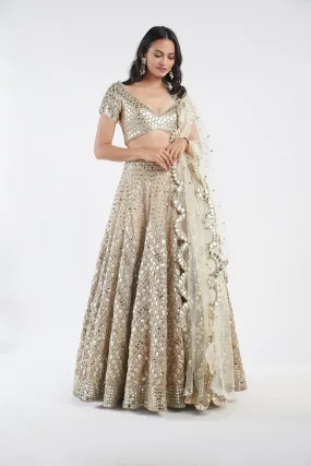 Beige Embellished Lehenga Set