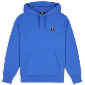 Dickies Mount Vista Hoodie - Satin Sky