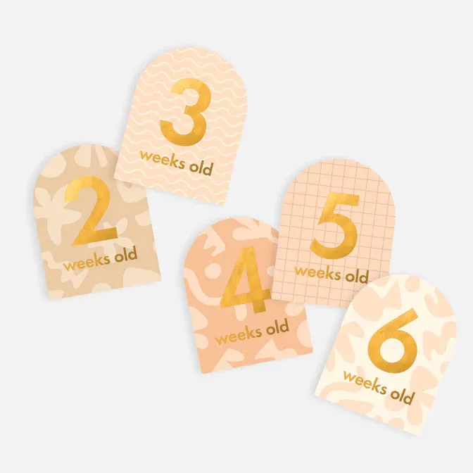 Fox & Fallow Baby Milestone Card Set HELIOS